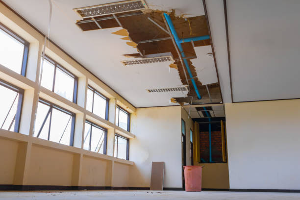 Best Water damage mitigation services  in Austell, GA