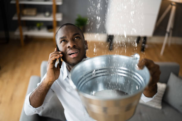 Best Flooded house restoration  in Austell, GA