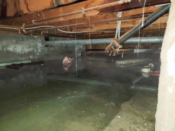 Best Professional water damage repair  in Austell, GA