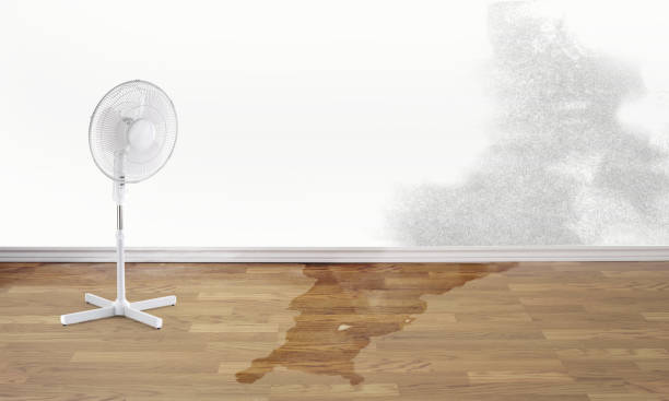 Best Water damage repair service  in Austell, GA