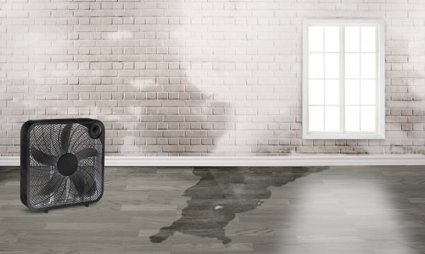 Best Commercial water damage restoration  in Austell, GA